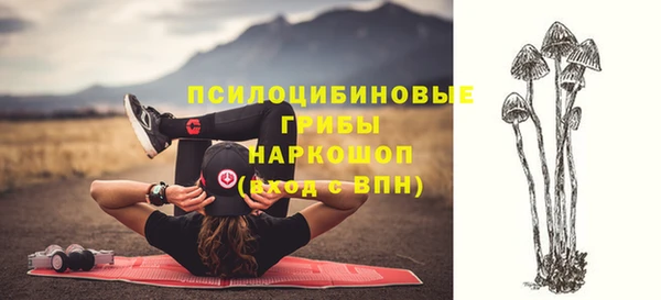спайс Алексеевка