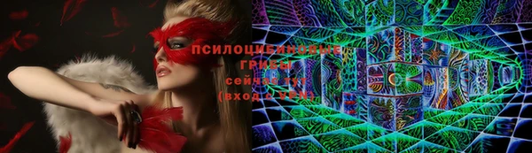 Альфа ПВП Алзамай