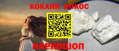 шишки Новодвинск