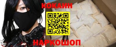 шишки Новодвинск