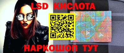 шишки Новодвинск