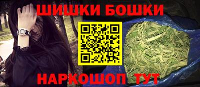 шишки Новодвинск