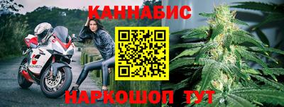шишки Новодвинск