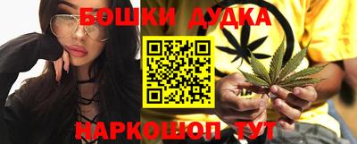 шишки Новодвинск