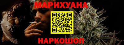 шишки Новодвинск