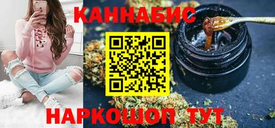 шишки Новодвинск