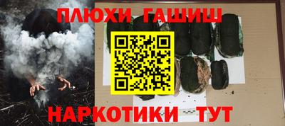 шишки Новодвинск