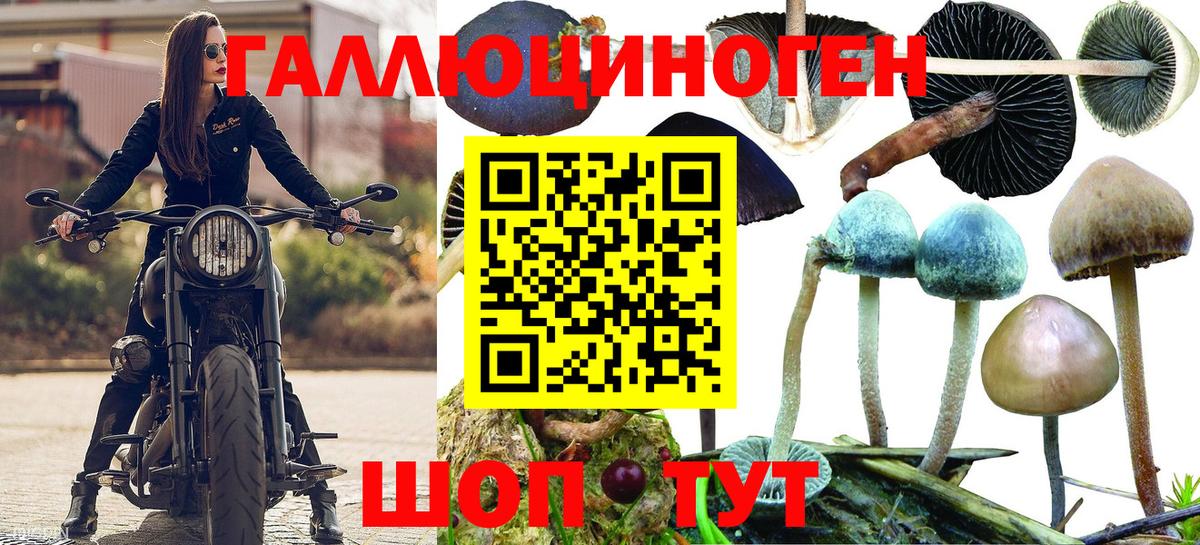 Галлюциногенные грибы мицелий Шадринск