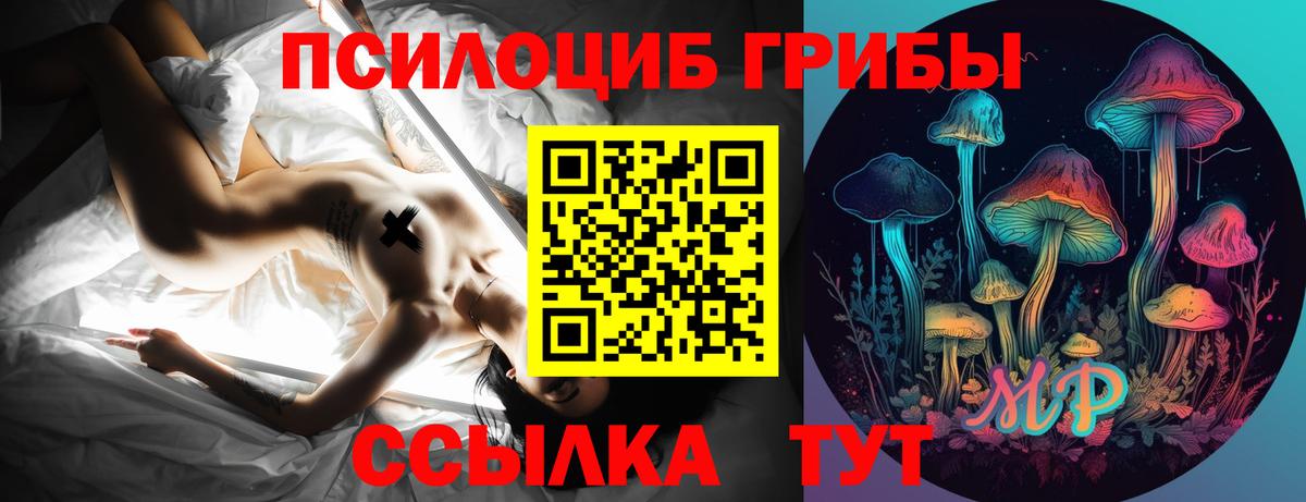 Шадринск  цена   Вход с VPN  Псилоцибиновые грибы Psilocybe  Галлюциногенные грибы ЛСД 